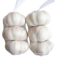 Frische Kleine Tasche Verpackung Pure White Knoblauch